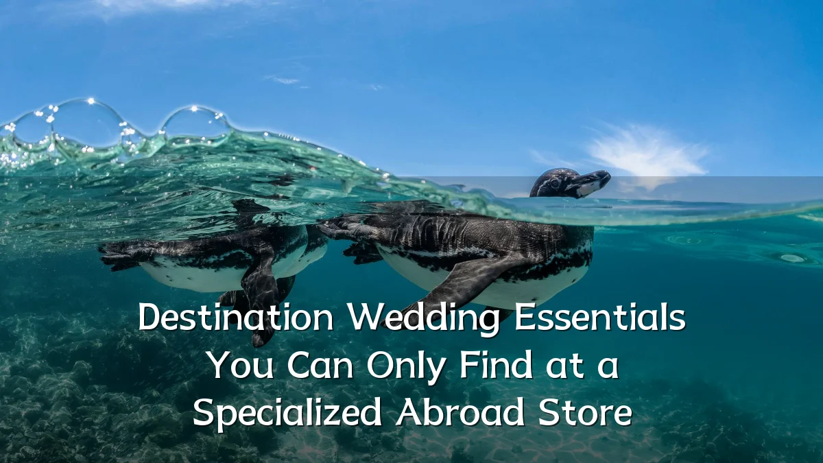 Destination Wedding Essentials You Can Only Find at a Specialized Abroad Store