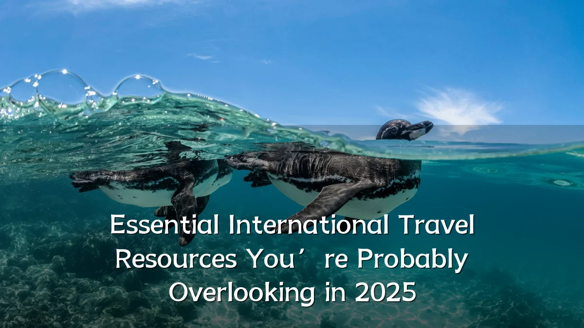 Essential International Travel Resources You’re Probably Overlooking in 2025