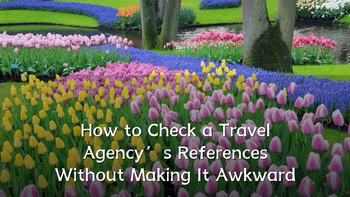 How to Check a Travel Agency’s References Without Making It Awkward