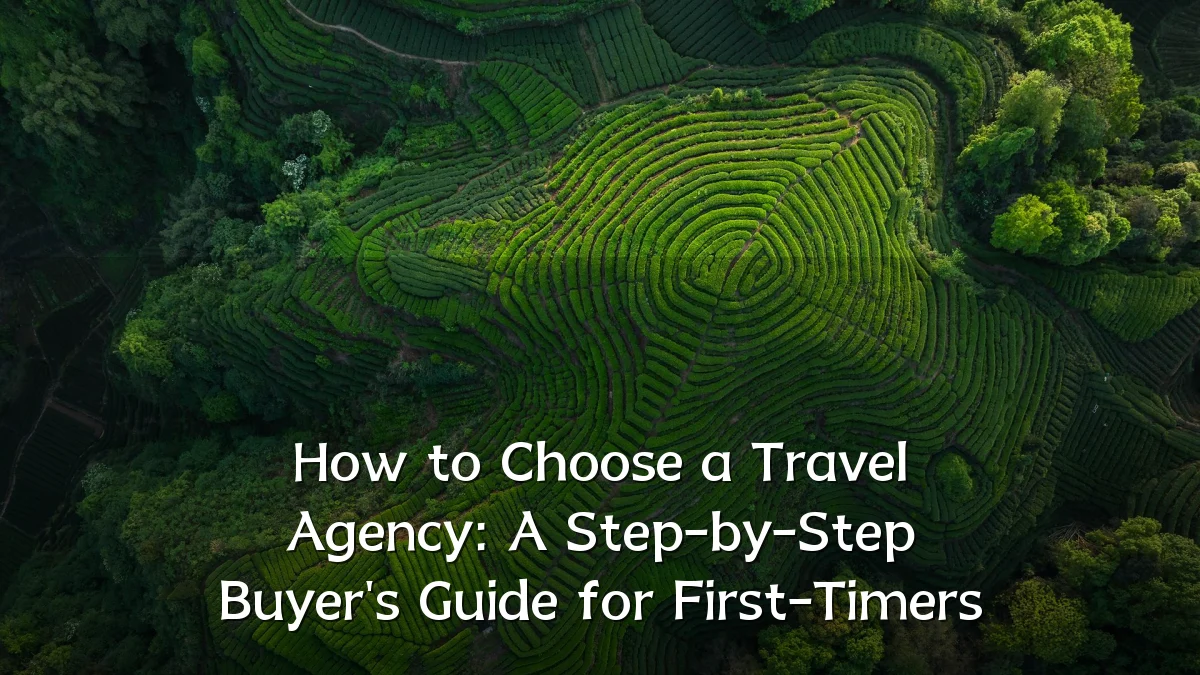 How to Choose a Travel Agency: A Step-by-Step Buyer's Guide for First-Timers