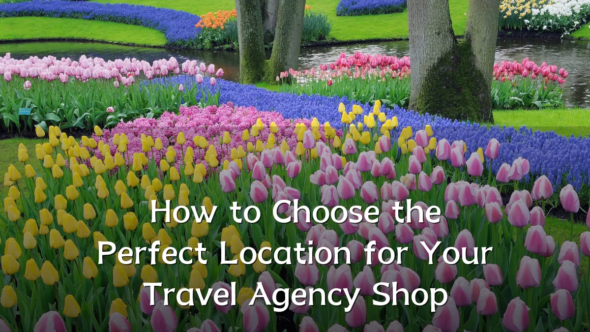 How to Choose the Perfect Location for Your Travel Agency Shop