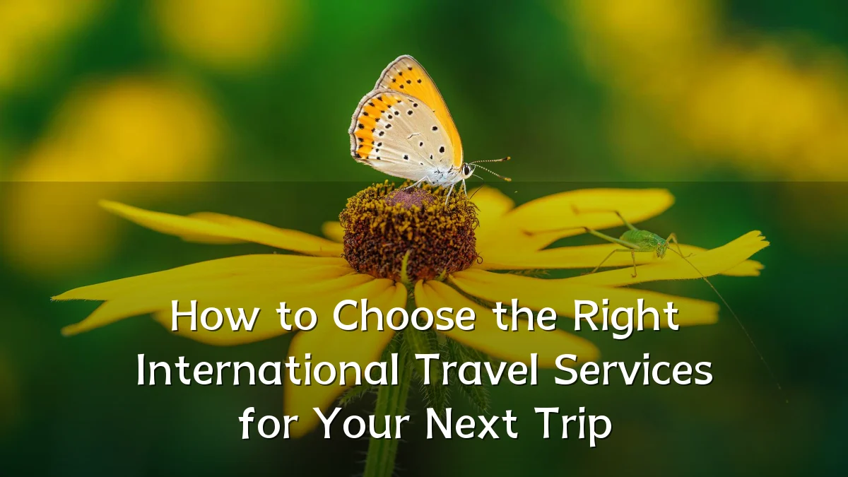 How to Choose the Right International Travel Services for Your Next Trip