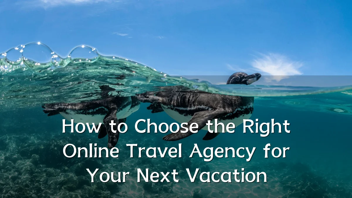 How to Choose the Right Online Travel Agency for Your Next Vacation