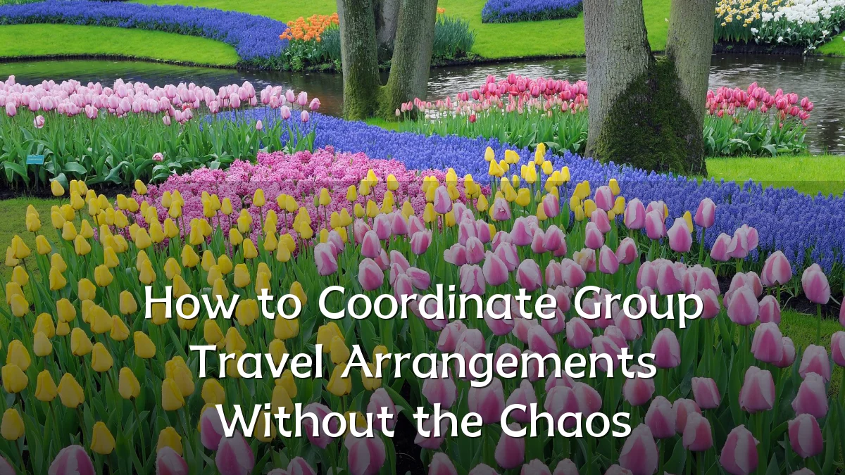 How to Coordinate Group Travel Arrangements Without the Chaos