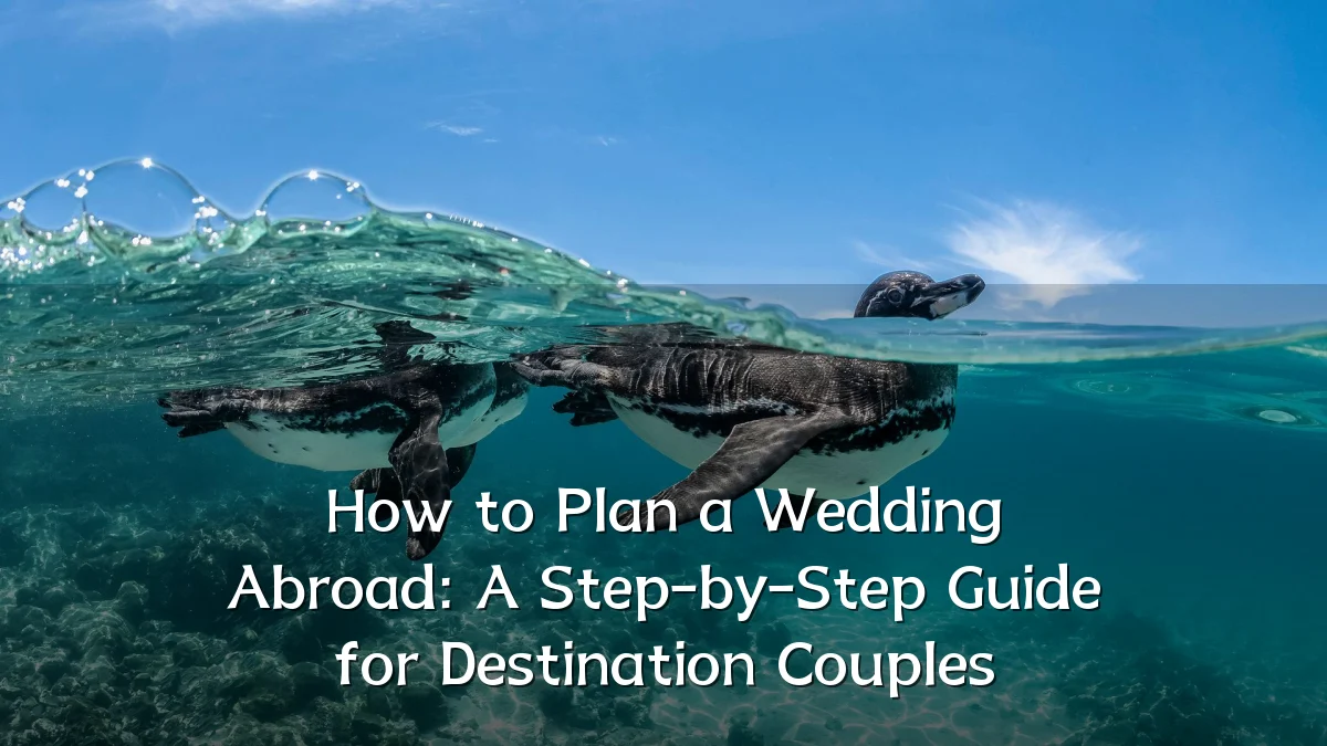 How to Plan a Wedding Abroad: A Step-by-Step Guide for Destination Couples
