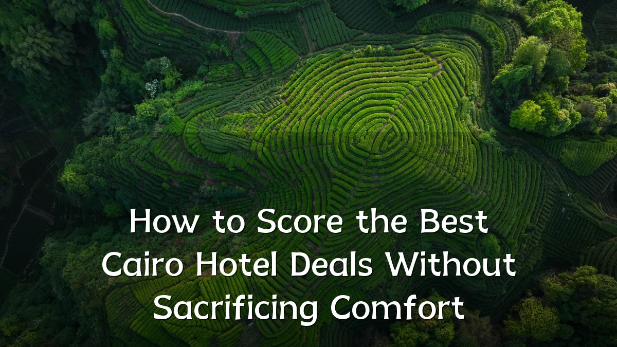 How to Score the Best Cairo Hotel Deals Without Sacrificing Comfort