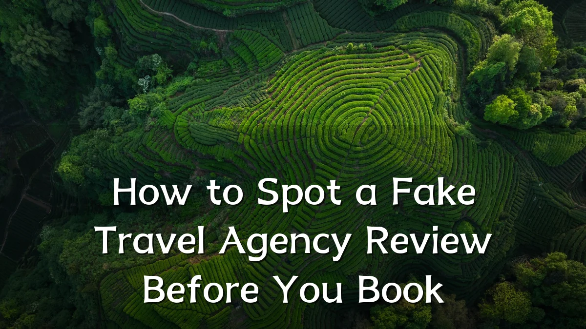 How to Spot a Fake Travel Agency Review Before You Book
