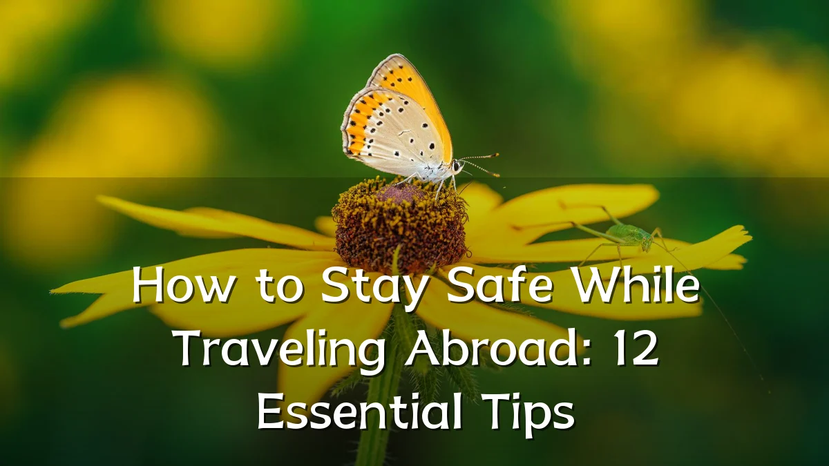 How to Stay Safe While Traveling Abroad: 12 Essential Tips