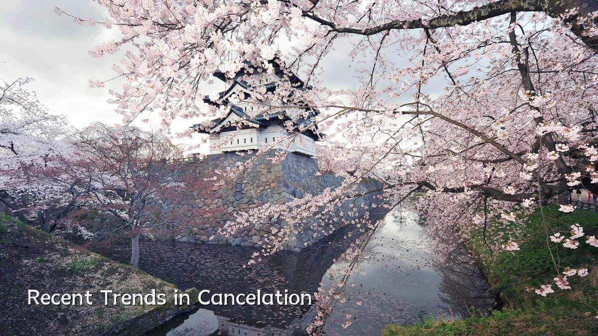 Recent Trends in Cancelation