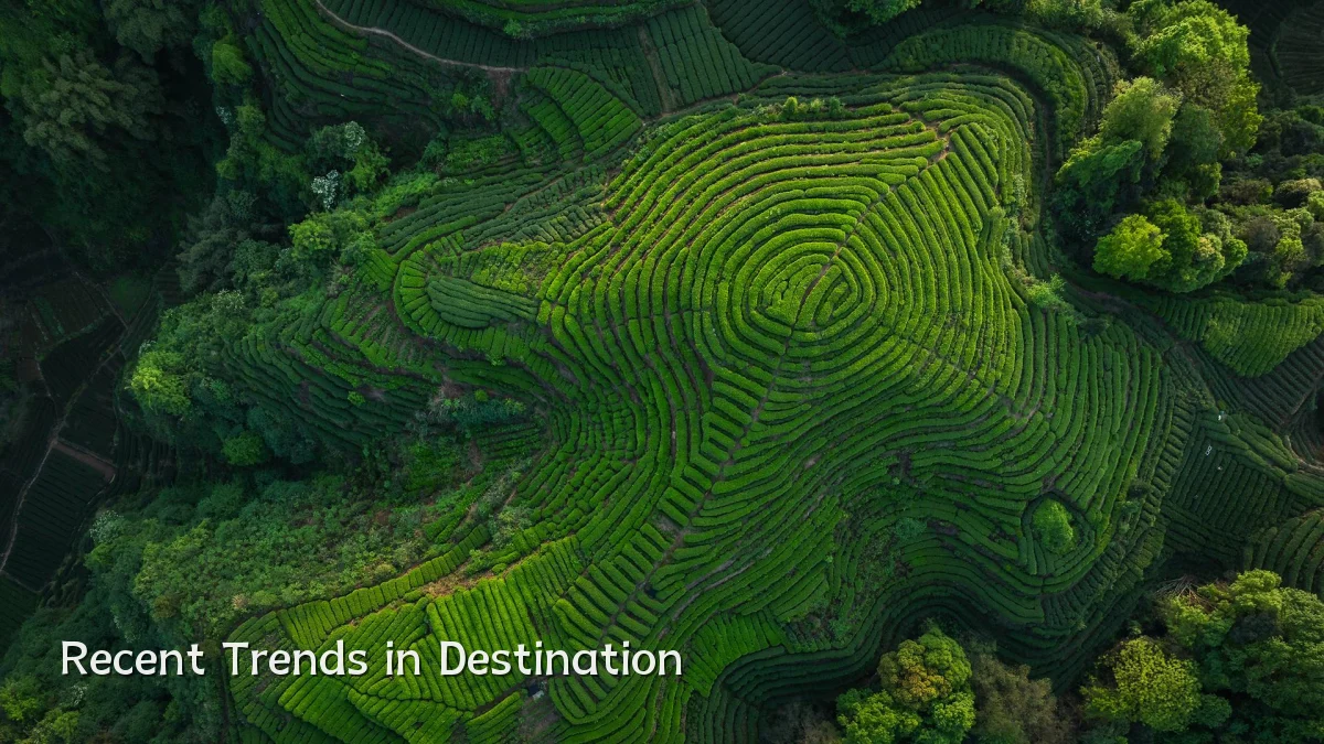 Recent Trends in Destination