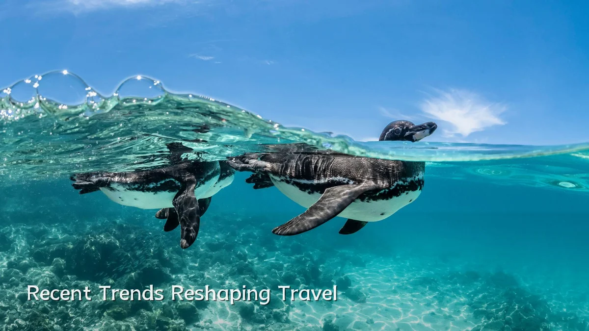 Recent Trends Reshaping Travel