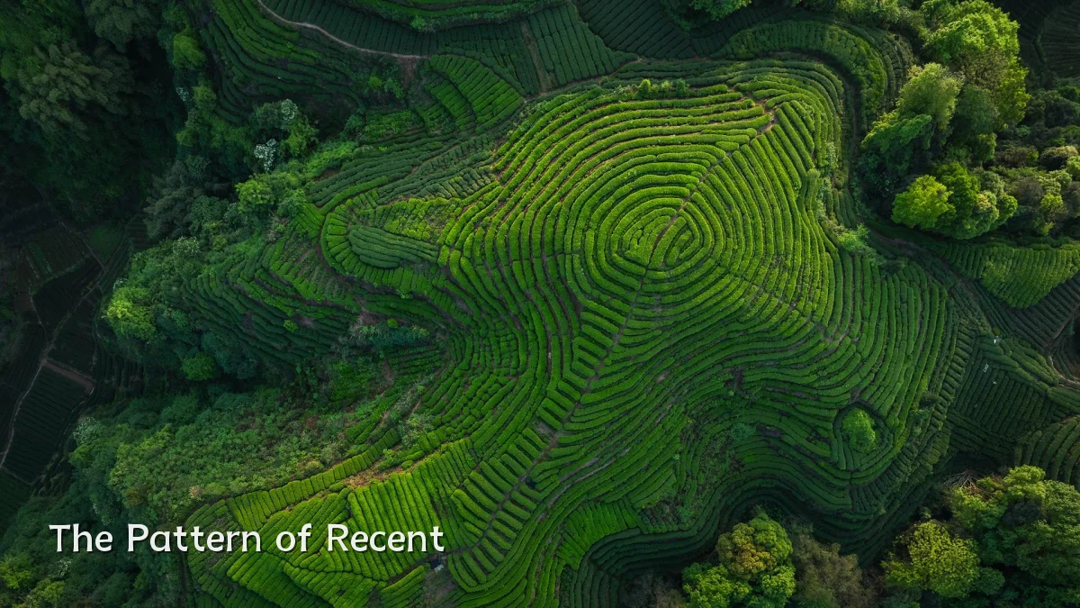 The Pattern of Recent
