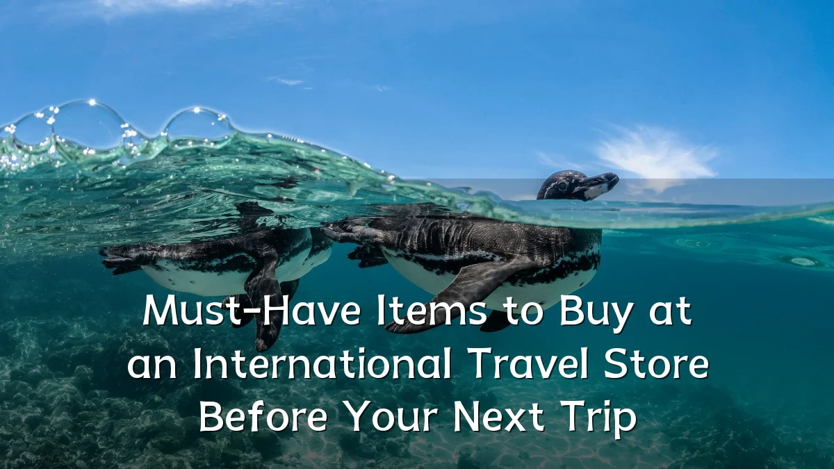 Must-Have Items to Buy at an International Travel Store Before Your Next Trip