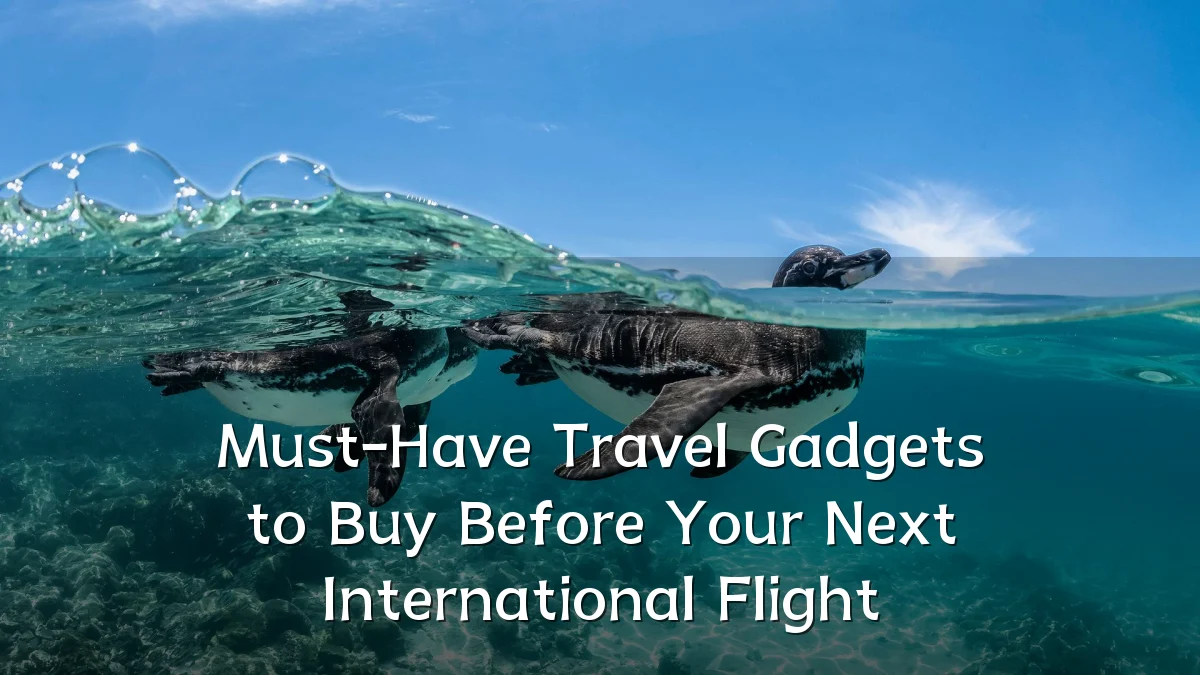 Must-Have Travel Gadgets to Buy Before Your Next International Flight