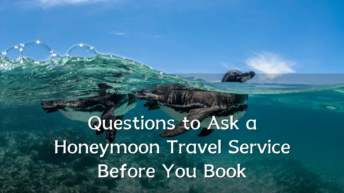 Questions to Ask a Honeymoon Travel Service Before You Book