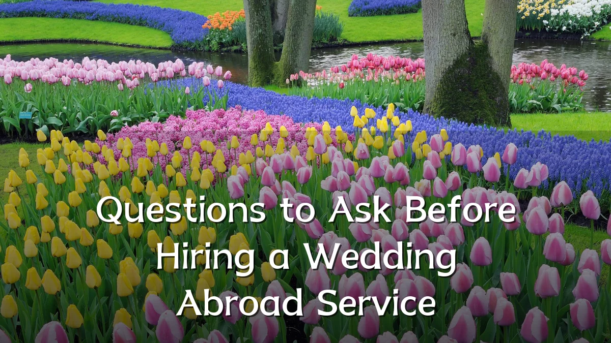 Questions to Ask Before Hiring a Wedding Abroad Service
