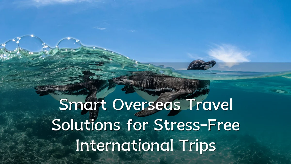 Smart Overseas Travel Solutions for Stress-Free International Trips