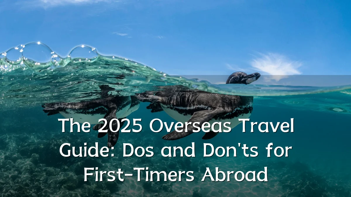 The 2025 Overseas Travel Guide: Dos and Don'ts for First-Timers Abroad