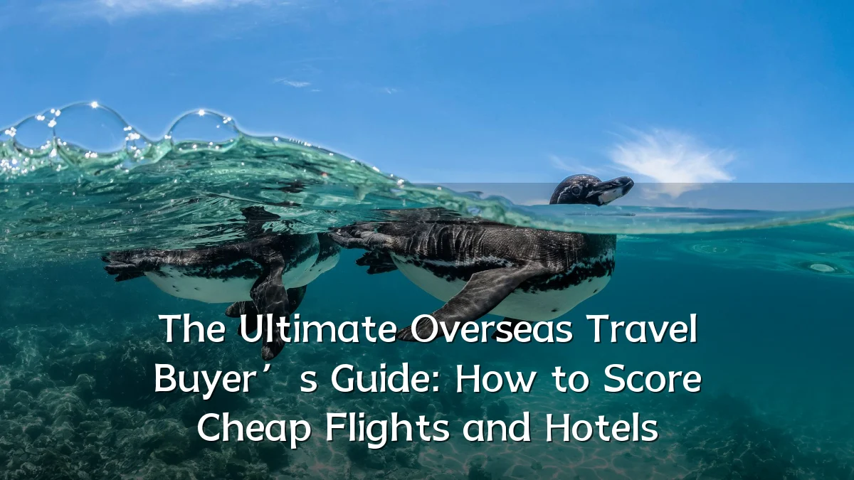 The Ultimate Overseas Travel Buyer’s Guide: How to Score Cheap Flights and Hotels