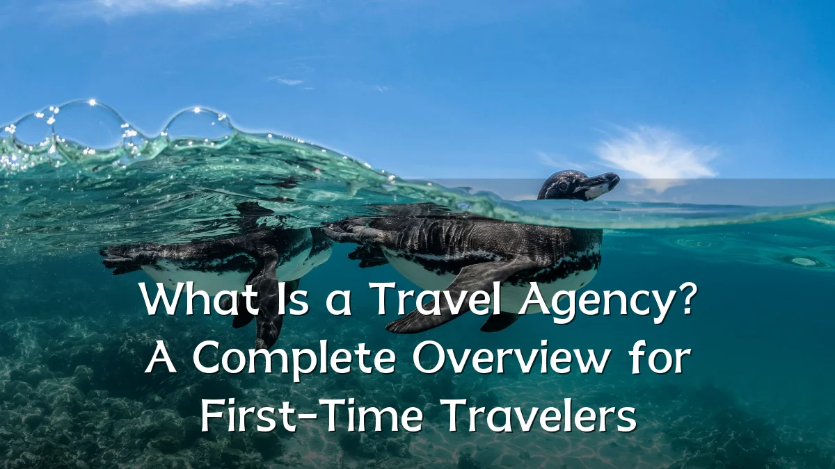 What Is a Travel Agency? A Complete Overview for First-Time Travelers