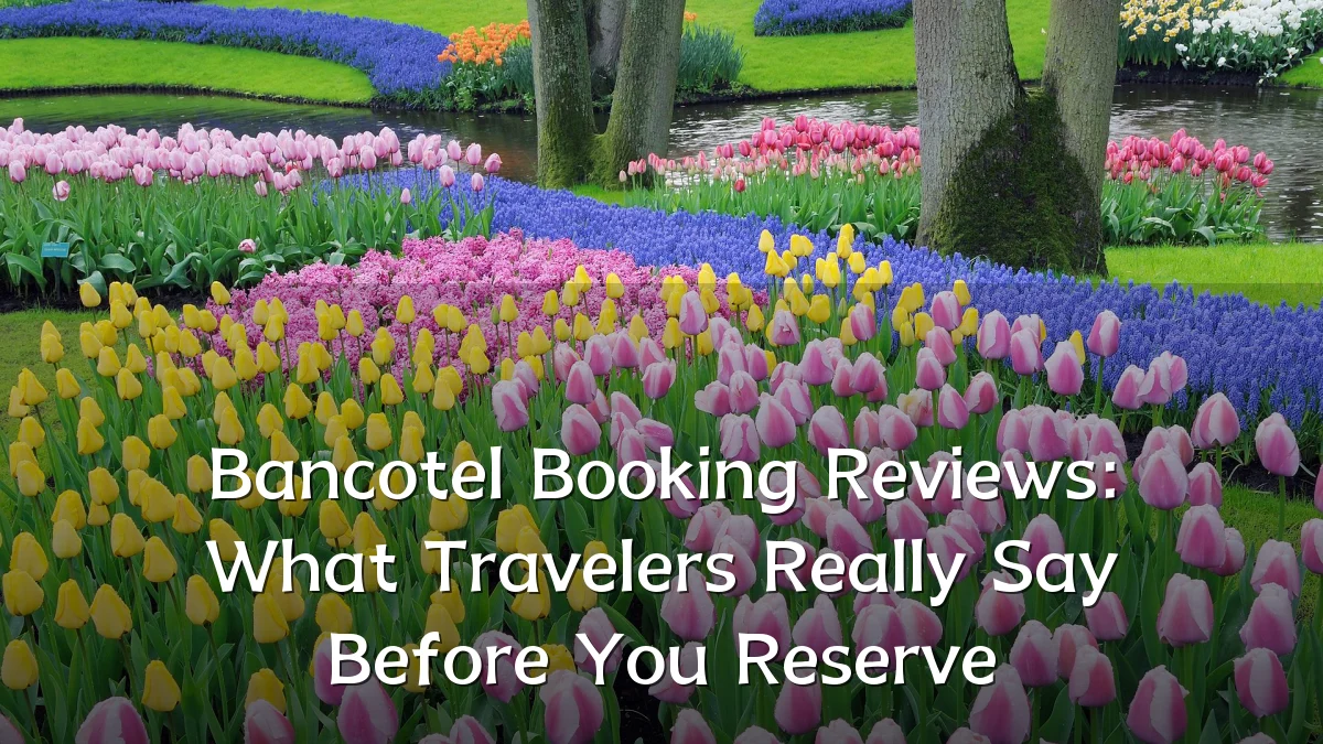 Bancotel Booking Reviews: What Travelers Really Say Before You Reserve