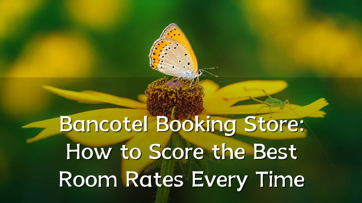 Bancotel Booking Store: How to Score the Best Room Rates Every Time
