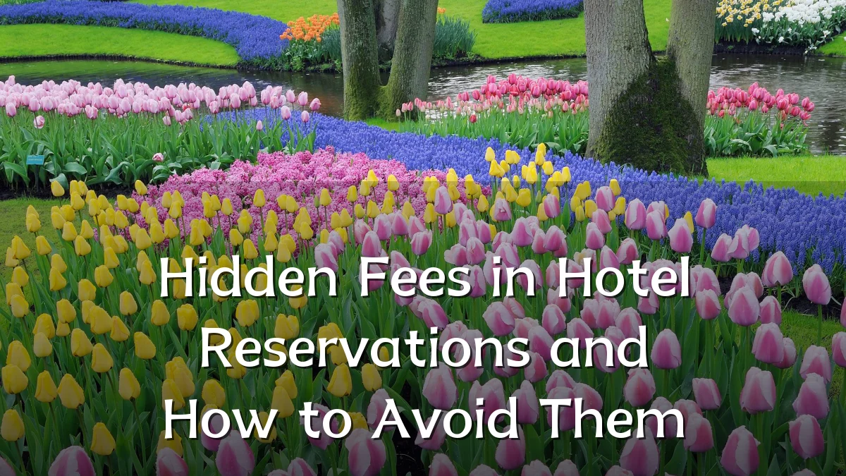 Hidden Fees in Hotel Reservations and How to Avoid Them