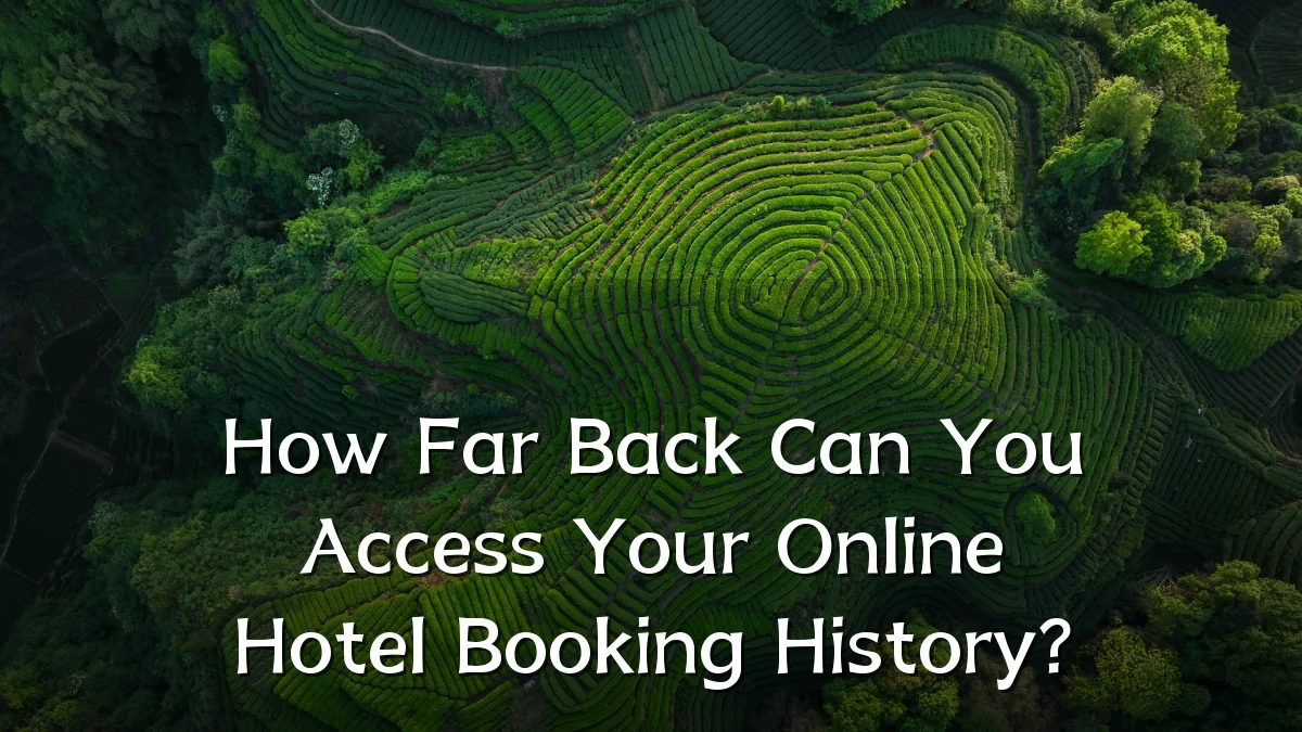 How Far Back Can You Access Your Online Hotel Booking History?