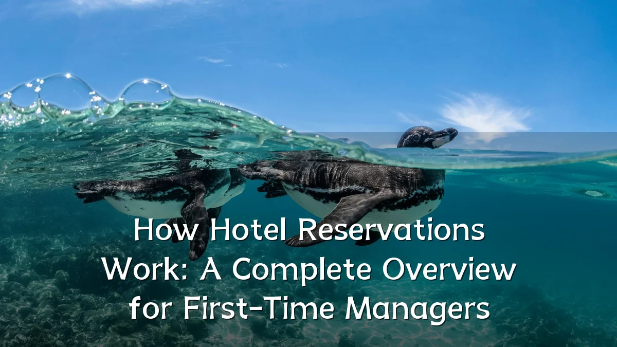 How Hotel Reservations Work: A Complete Overview for First-Time Managers