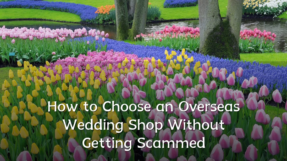 How to Choose an Overseas Wedding Shop Without Getting Scammed