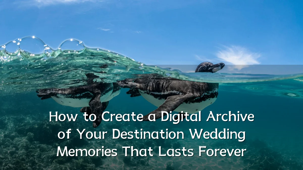 How to Create a Digital Archive of Your Destination Wedding Memories That Lasts Forever