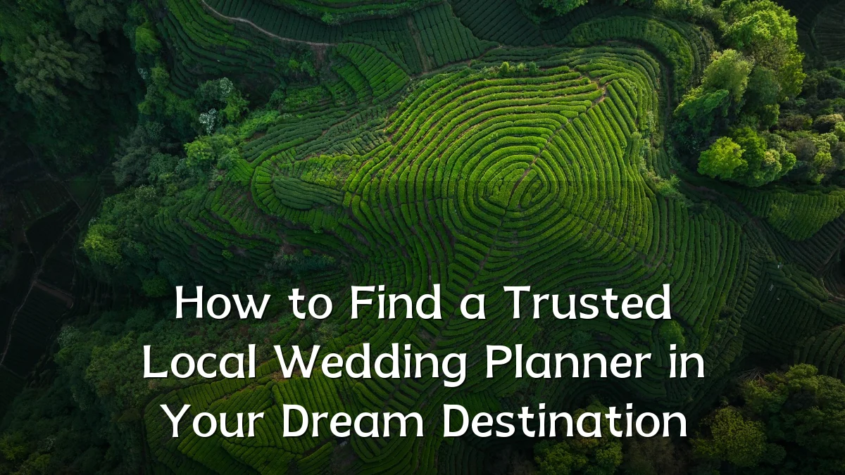 How to Find a Trusted Local Wedding Planner in Your Dream Destination