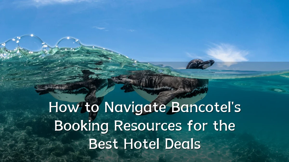 How to Navigate Bancotel's Booking Resources for the Best Hotel Deals