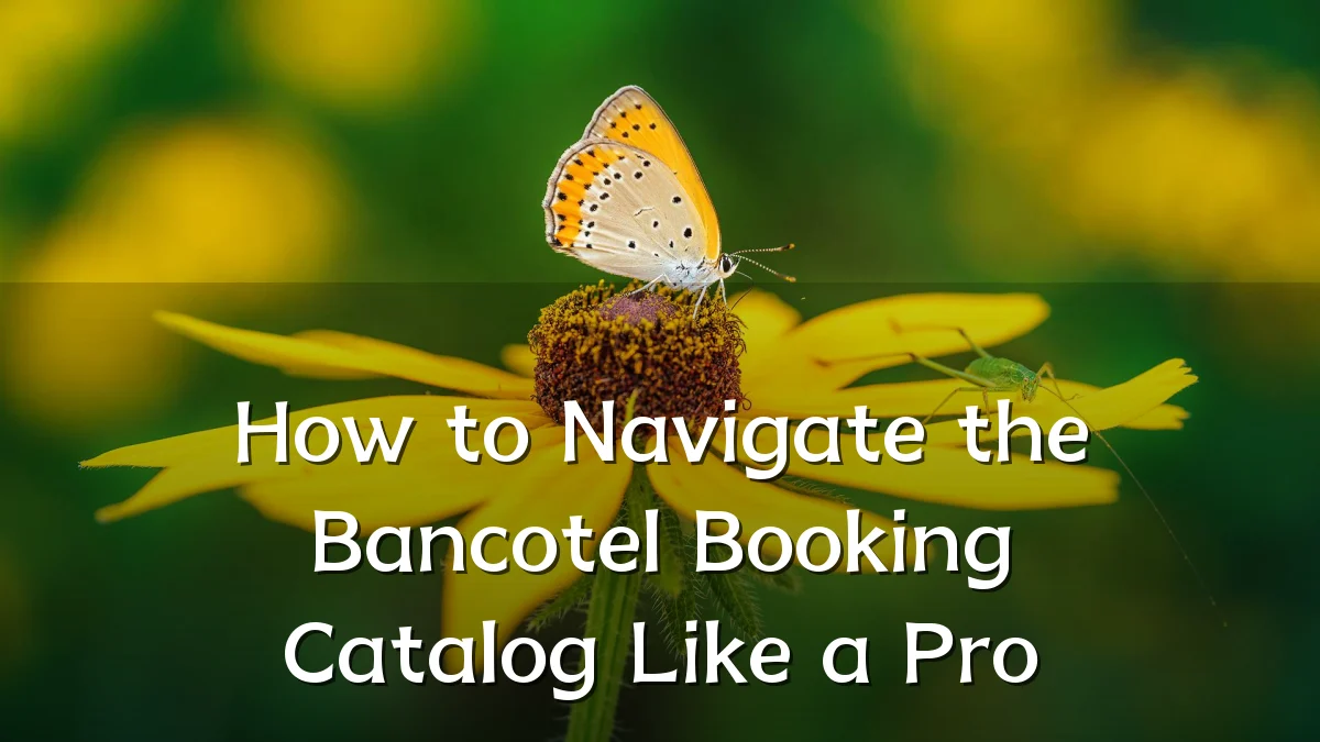 How to Navigate the Bancotel Booking Catalog Like a Pro