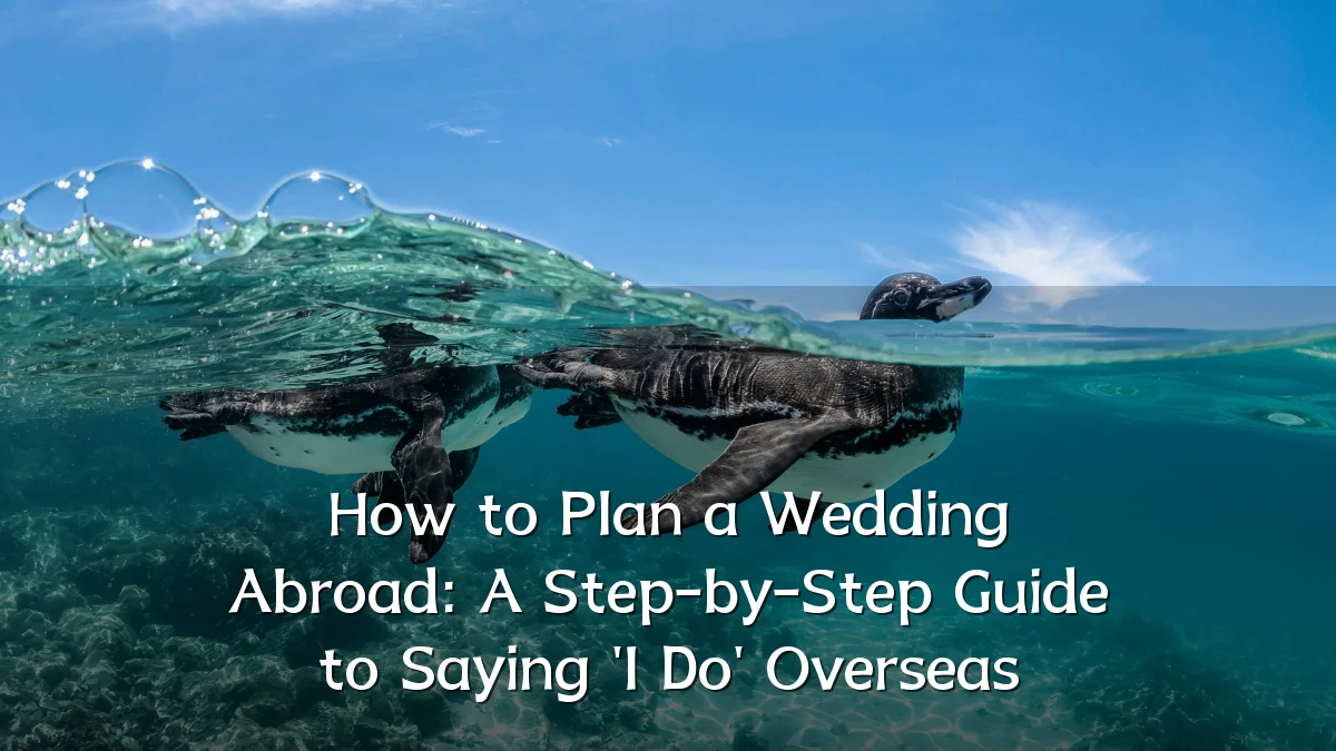 How to Plan a Wedding Abroad: A Step-by-Step Guide to Saying 'I Do' Overseas