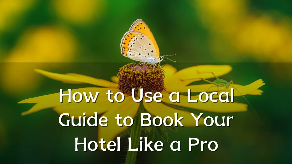 How to Use a Local Guide to Book Your Hotel Like a Pro