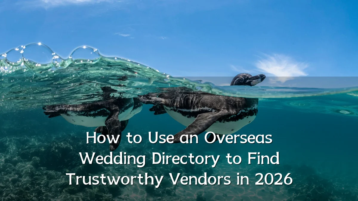How to Use an Overseas Wedding Directory to Find Trustworthy Vendors in 2026