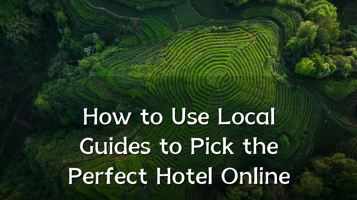 How to Use Local Guides to Pick the Perfect Hotel Online