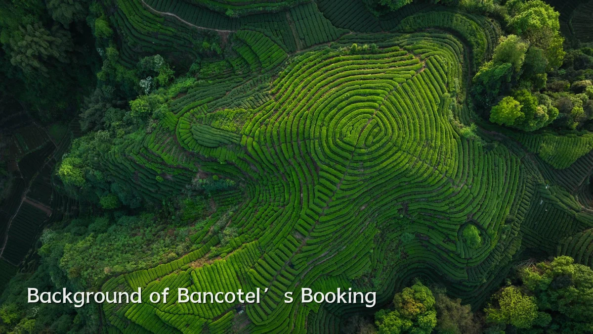 Background of Bancotel’s Booking