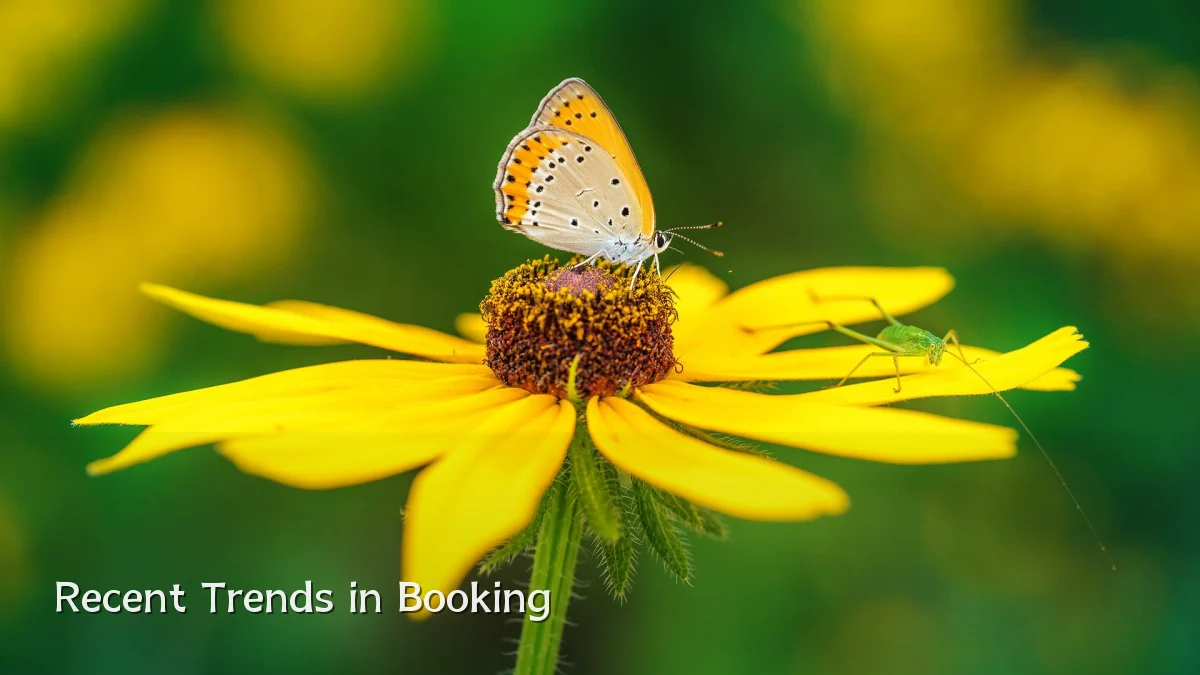 Recent Trends in Booking