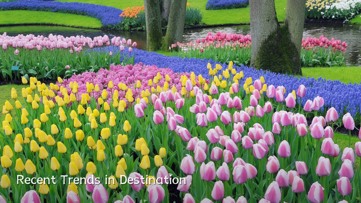 Recent Trends in Destination