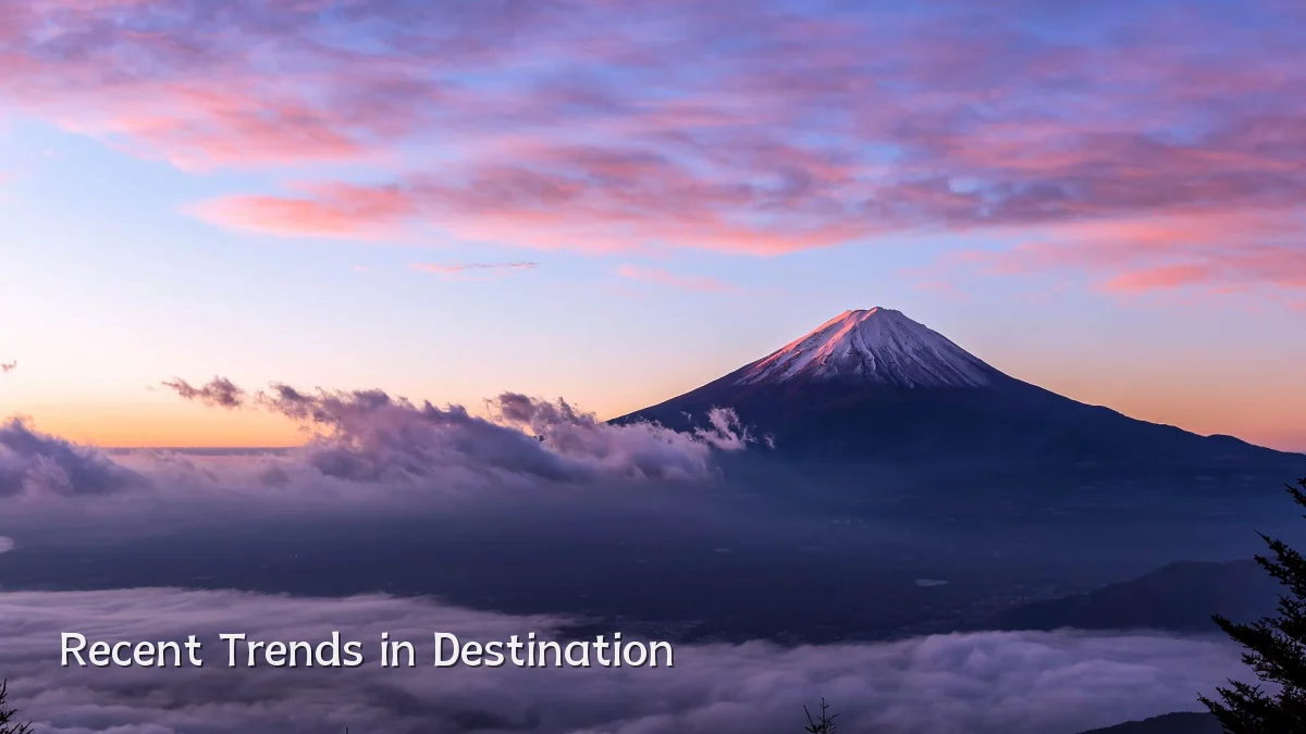 Recent Trends in Destination