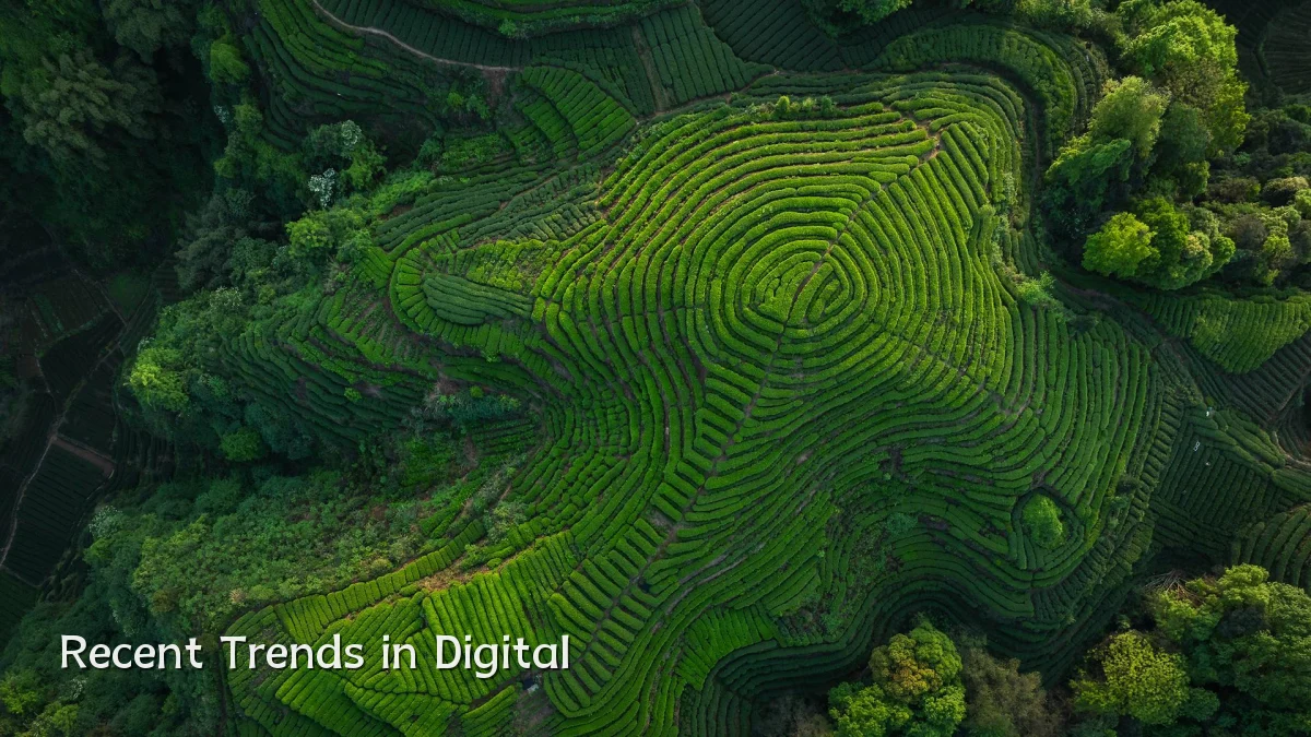 Recent Trends in Digital