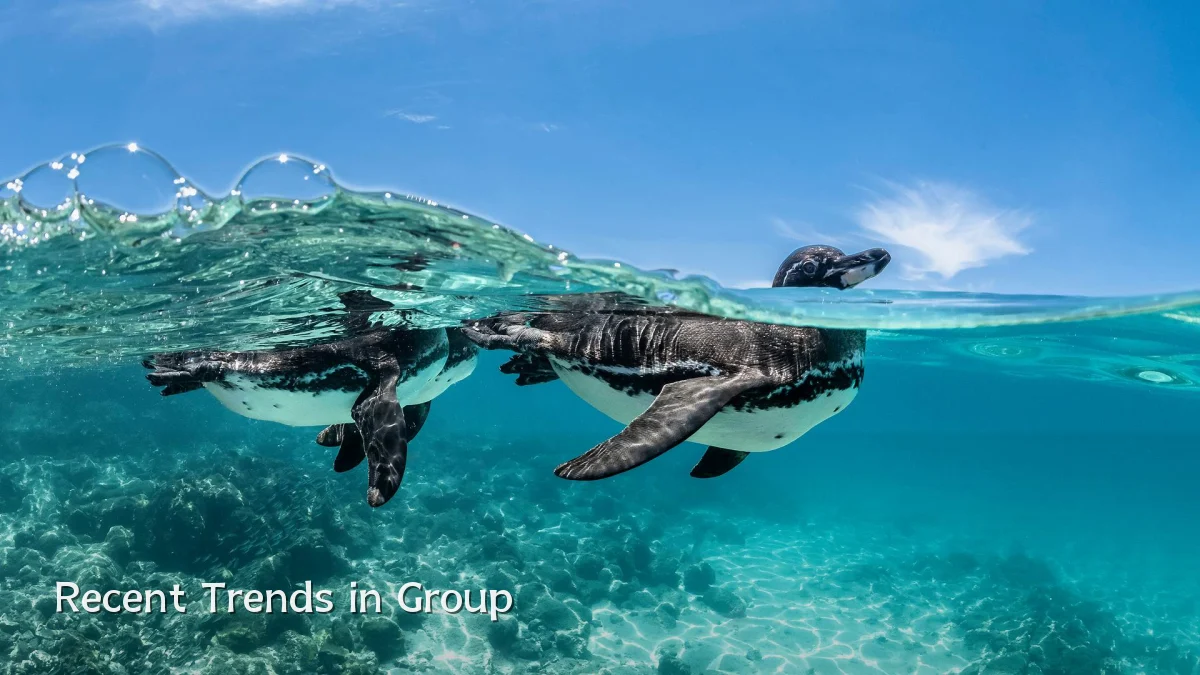 Recent Trends in Group