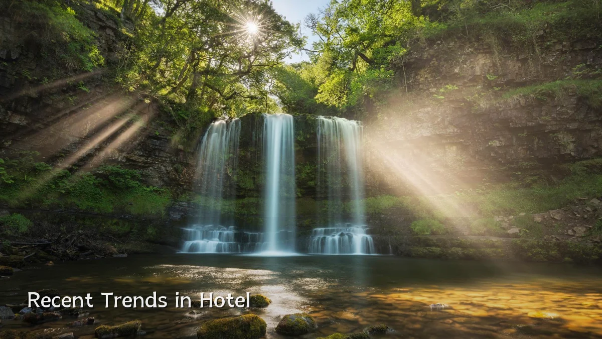 Recent Trends in Hotel