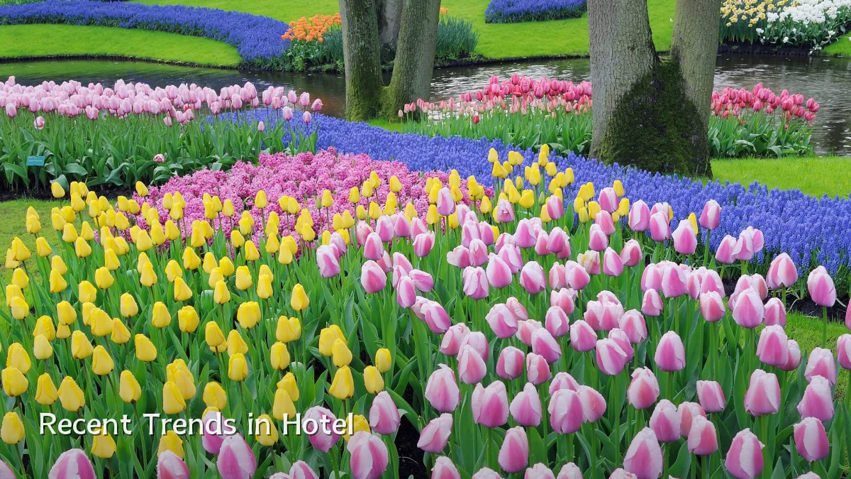 Recent Trends in Hotel