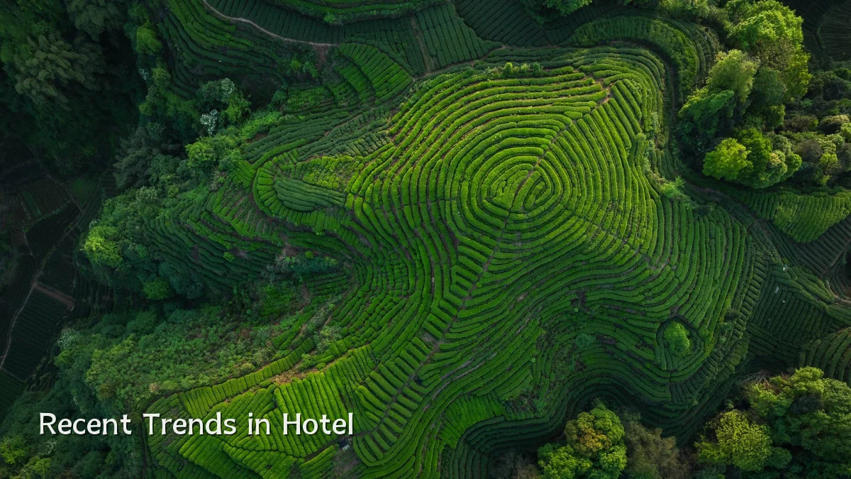 Recent Trends in Hotel