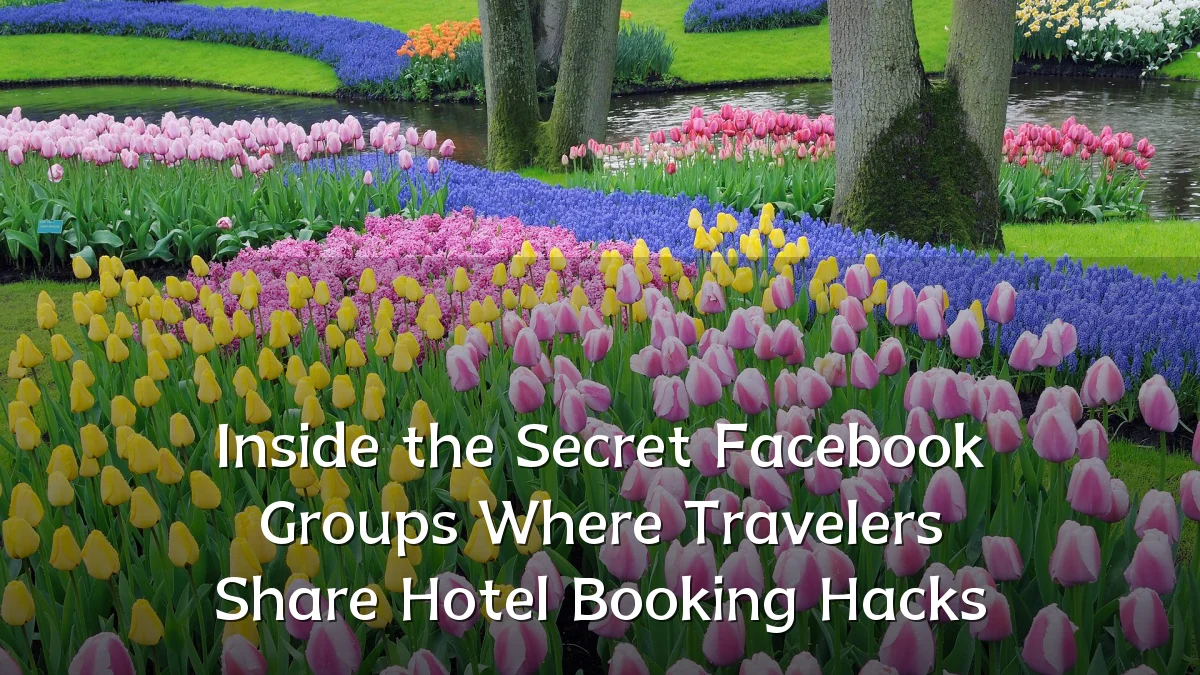 Inside the Secret Facebook Groups Where Travelers Share Hotel Booking Hacks