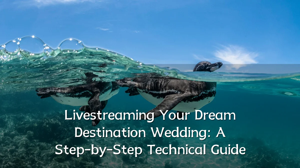Livestreaming Your Dream Destination Wedding: A Step-by-Step Technical Guide