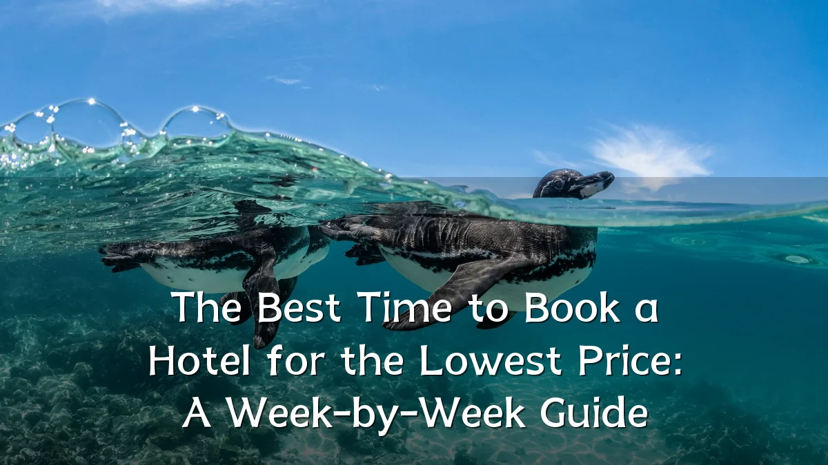 The Best Time to Book a Hotel for the Lowest Price: A Week-by-Week Guide